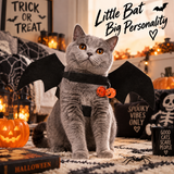 SpookyBat™ Halloween-Flügel für Haustiere