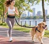 Hands-Free Dog Running Belt & Bungee Leash – Run Free, Walk Together!