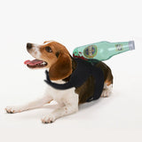 Paws of Terror™ – Costume d'Halloween hilarant pour chiens et chats