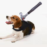 Paws of Terror™ – Costume d'Halloween hilarant pour chiens et chats