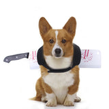 Paws of Terror™ – Costume d'Halloween hilarant pour chiens et chats