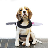 Paws of Terror™ – Costume d'Halloween hilarant pour chiens et chats