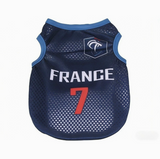 World Cup Style Pet Jersey