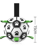⚽ Paw-Footie World Cup Dog Soccer Ball