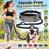 Hands-Free Dog Running Belt & Bungee Leash – Run Free, Walk Together!