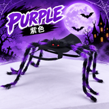 Creepy Crawly™ Halloween Spider Pet Costume